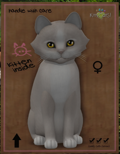 KittyCatS Box - Genesis - Pearl II