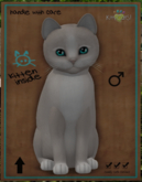 KittyCatS Box - New Born Kitten