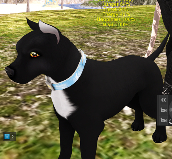 ameratto k9