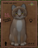 KittyCatS Box - Genesis - Mocha II