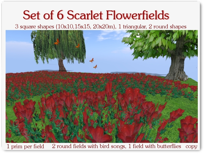 Set of 6 scarlet flowerfields