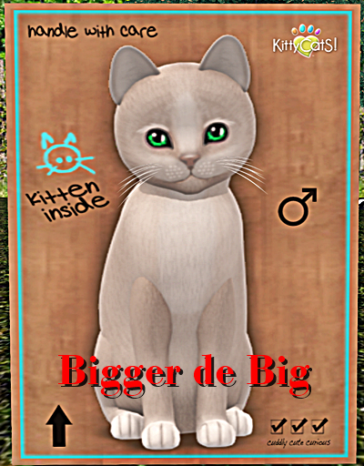 KittyCatS Box - Genesis - Pearl II Bigger de Big