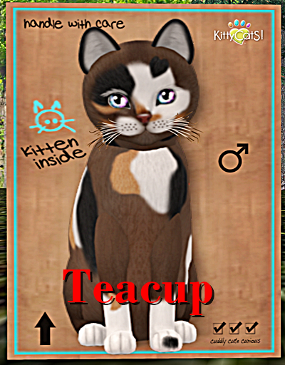 KittyCatS Box - Genesis - Patch II Teacup
