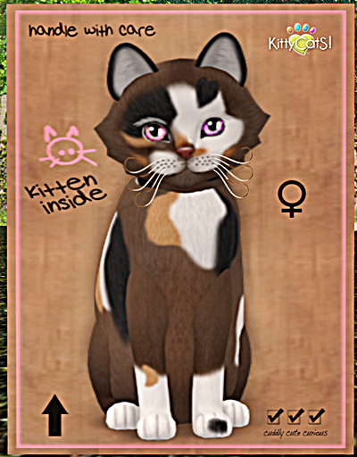KittyCatS Box - Genesis - Patch II