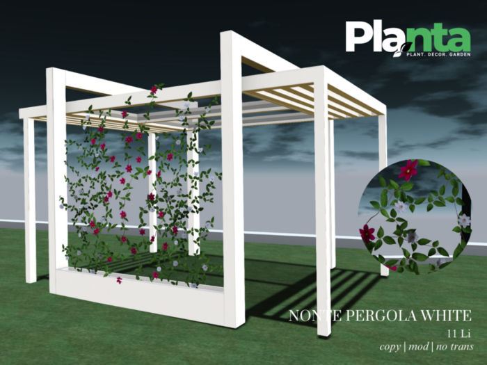 Planta - Nonte Pergola White