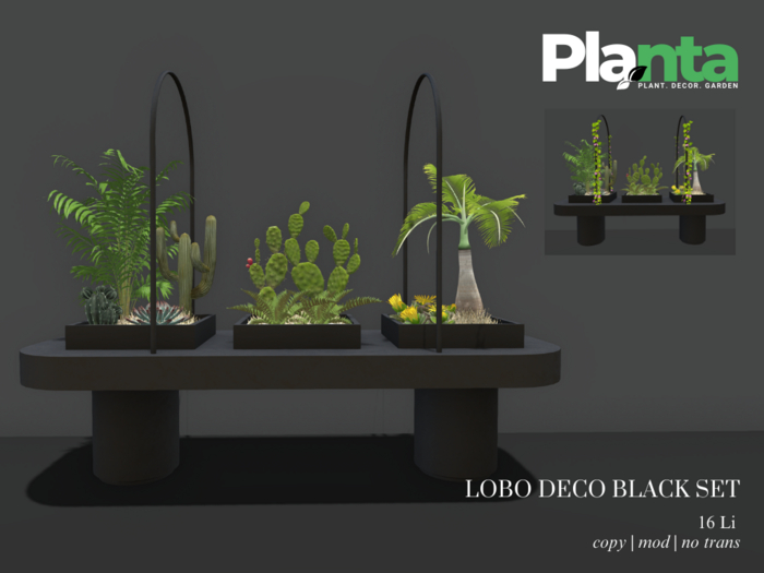 Planta - Lobo Deco Black Set