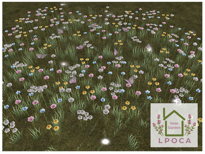 LpOca Wild Flower