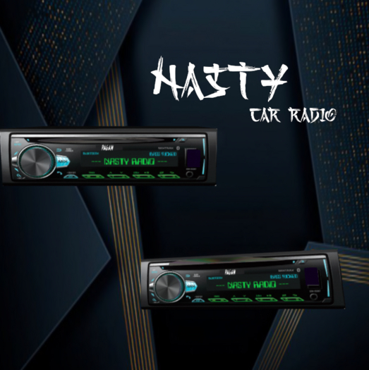[NaSTy]CarRadio up box