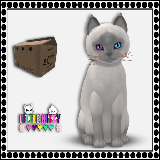KittyCatS Box - 9T Siamese - Lilac F (MP)
