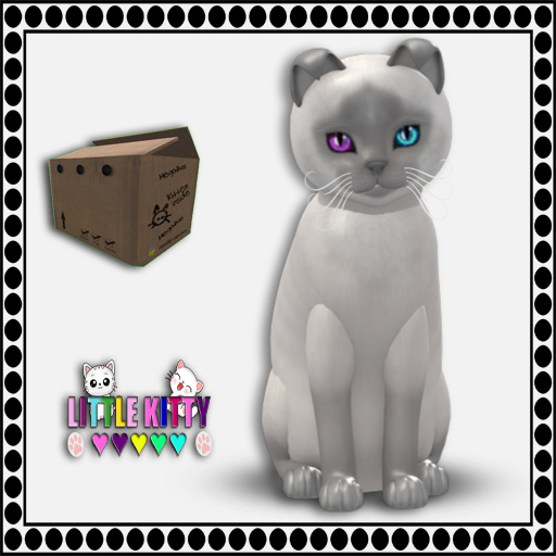 KittyCatS Box - 9T Siamese - Lilac/OdyCarnival M (MP)