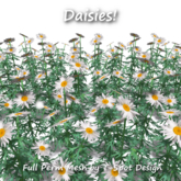 T-Spot Mesh - Daisies v.3 - Full Perm - LI=0.5-1.2