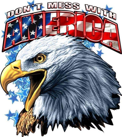 Dont Mess With America