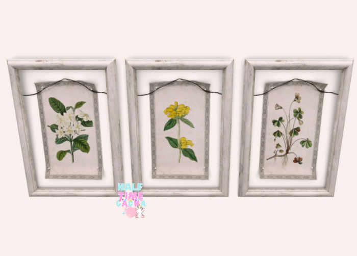 Apple Fall Botanical Prints (3)