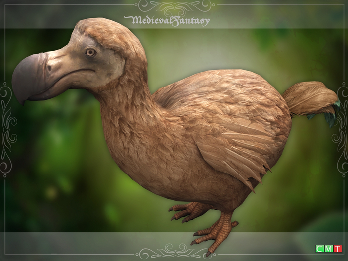 [MF] Dodo Bird trophy (boxed)