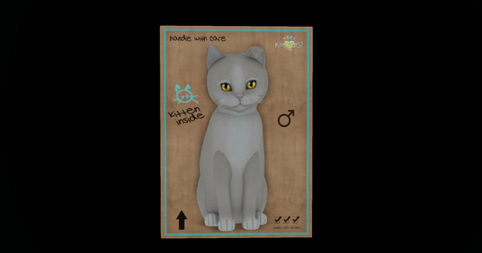KittyCatS Box - New Born Kitten~Genesis - Pearl II