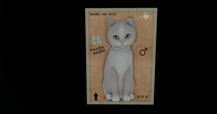 KittyCatS Box - New Born Kitten~Genesis - Pearl II