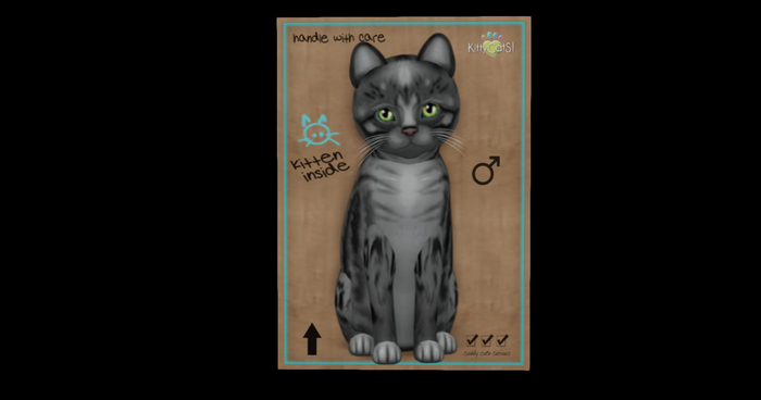 KittyCatS Box - New Born Kitten 28~Genesis - Smokey II~Teacup