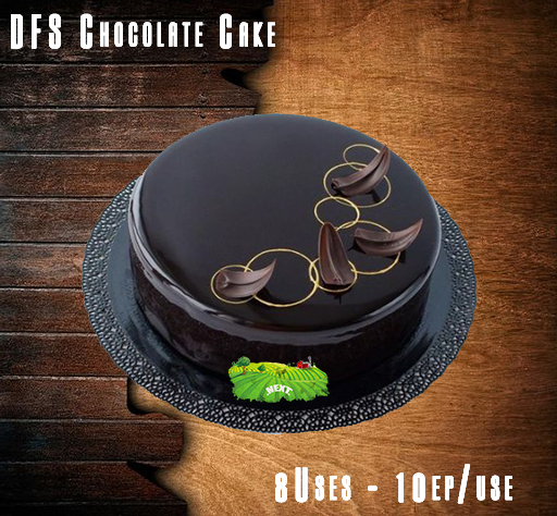 DFS Chocolate Cake 