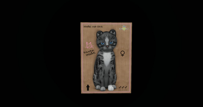 KittyCatS Box - New Born Kitten 2 2~Genesis - Smokey III