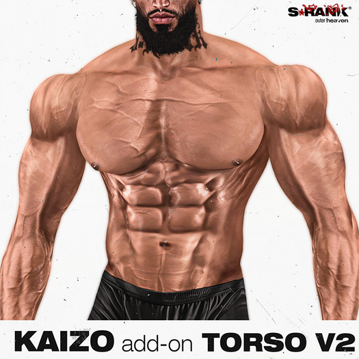 S-RANK "KAIZO" ADD-ON 02 / TORSO V2
