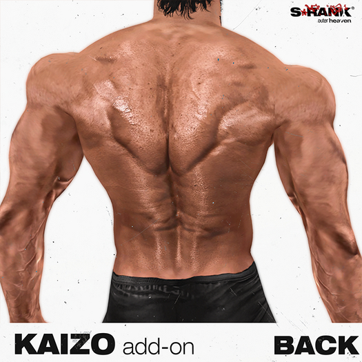 S-RANK "KAIZO" ADD-ON 02 / BACK