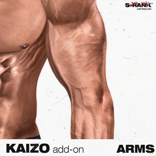 S-RANK "KAIZO" ADD-ON 02 / ARMS 