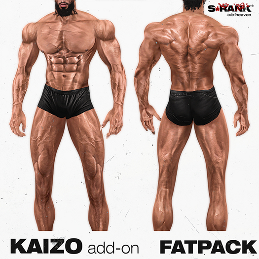 S-RANK "KAIZO" ADD-ON 02 / FATPACK