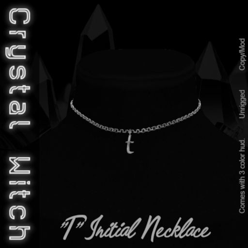 -CW- T Initial Necklace  DEMO