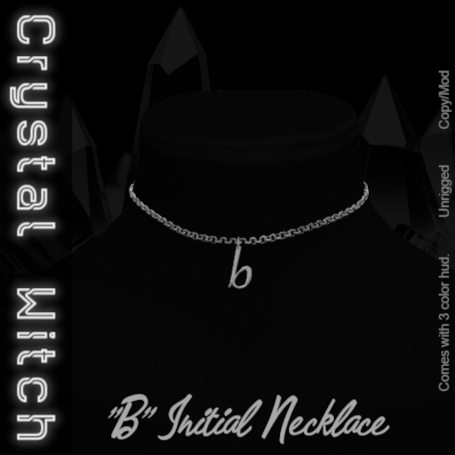 -CW- B Initial Necklace  DEMO