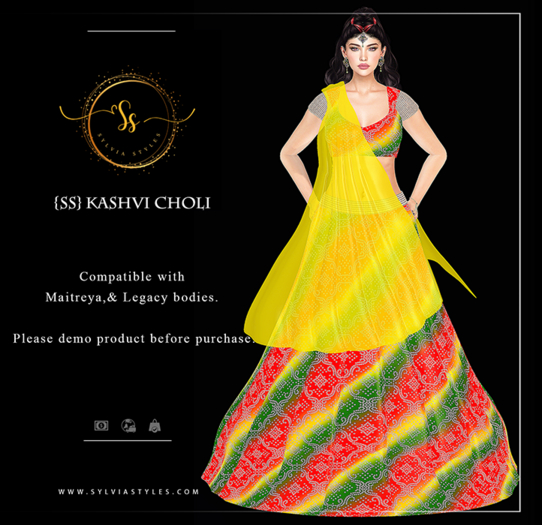 Kashvi Choli 17