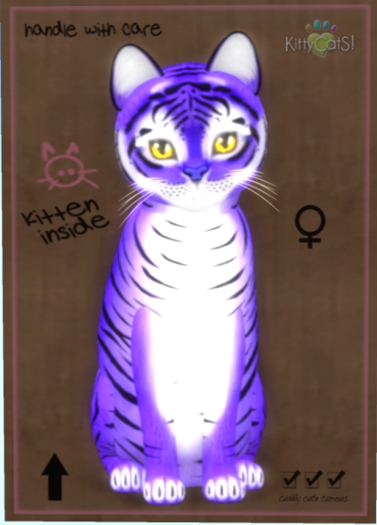 KittyCatS Box - Tiger! - Lavender