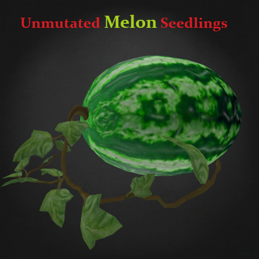 Random Papillon Melon Seedling Non-Mutated
