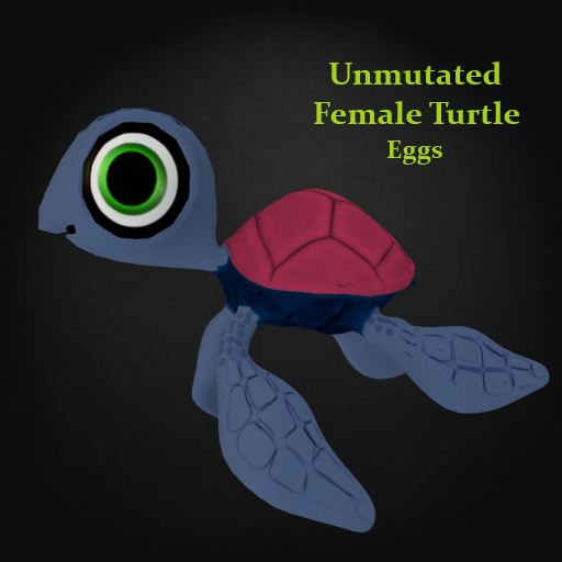 Random Papillon Female Turtle Egg Non-Mutated