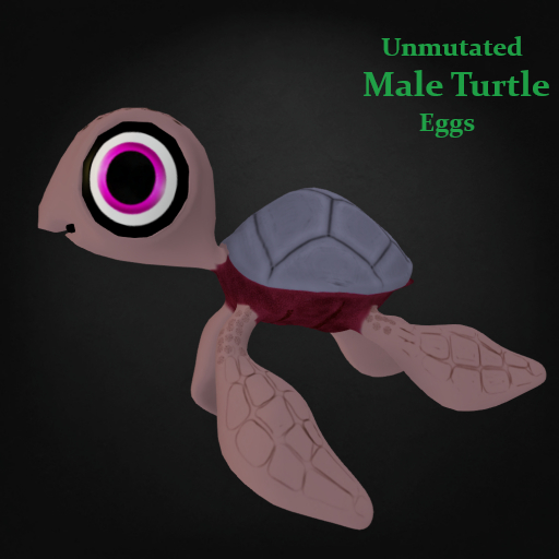 Random Papillon Male Turtle Egg Non-Mutated
