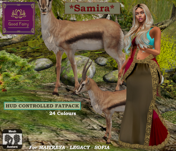 [Good Fairy] - Samira {Designer Saree} *FATPACK*