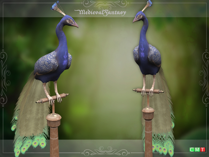 [MF] Exquisite Peacock trophy (boxed)