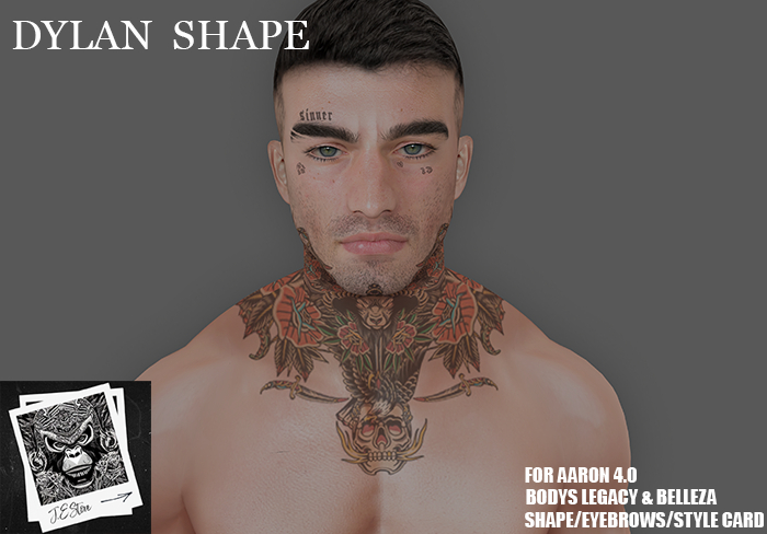 Dylan Shape For LeLUTKA Aaron Head 4.0