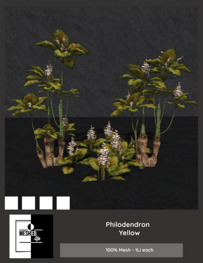 MeshedUp: Philodendron Yellow Pack 