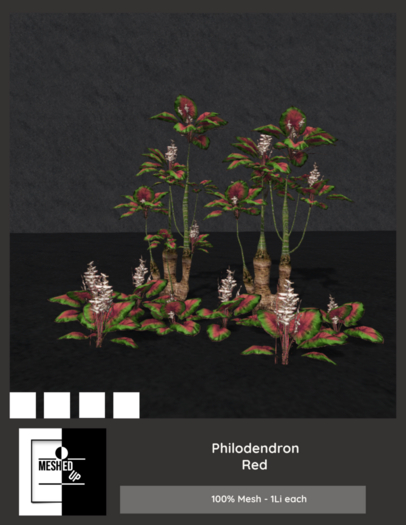 MeshedUp: Philodendron Red Pack 
