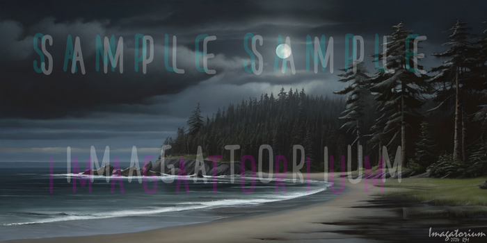 Stormy Beach-004 Backdrop