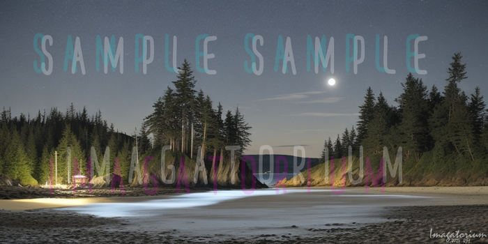 Moon Beach-007 Backdrop