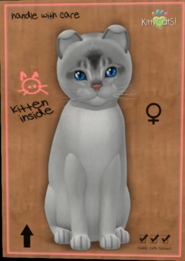 KittyCatS -  Abyssinian - Black Silver