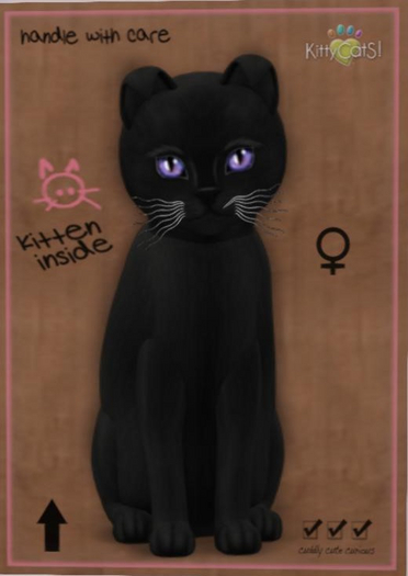 KittyCatS Box - russian black female New Born Kitten galaxy moon