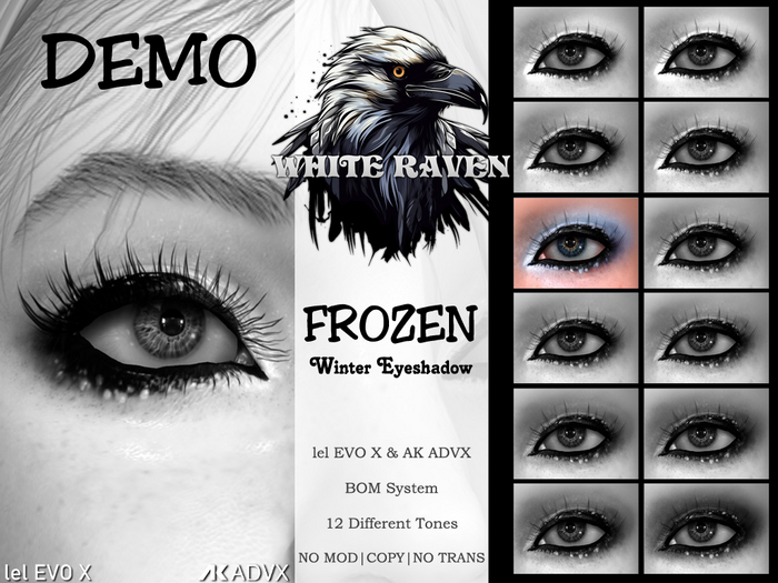 [WR] Frozen Winter Eyeshadow DEMO (Boxed)