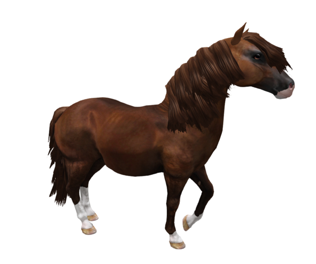 Second Life Marketplace - *E* RHR Companion Shetland Pony Chestnut