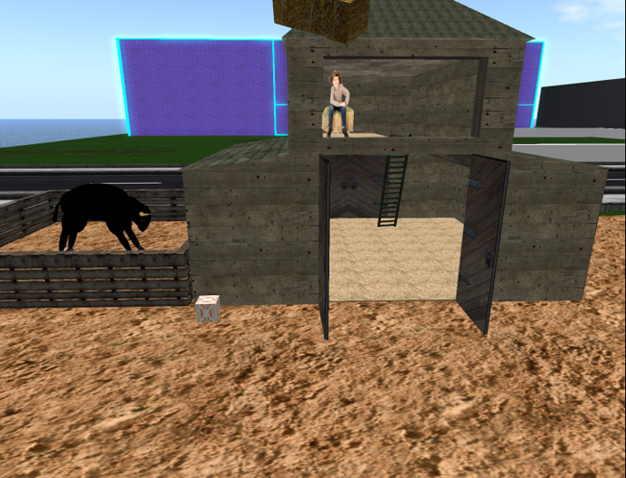 A stable with actions