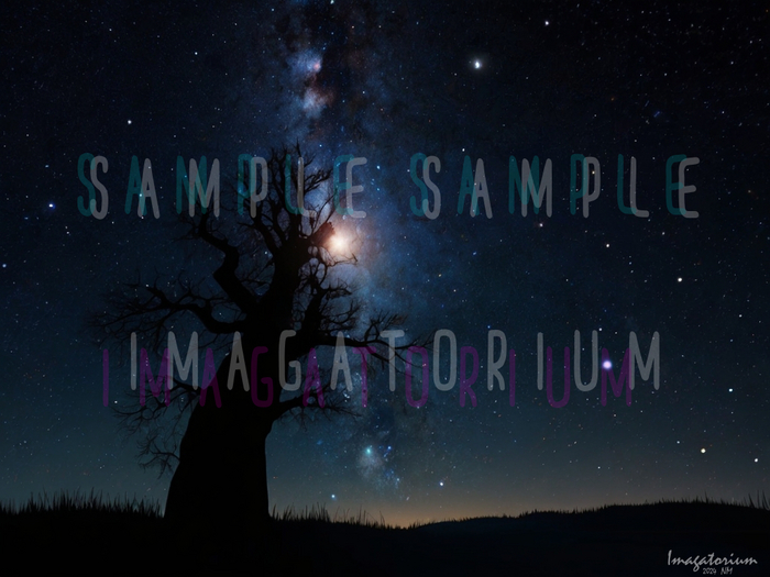 Night Sky-014 Backdrop