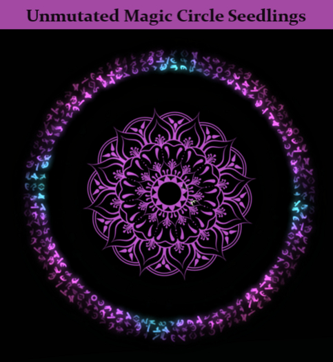 Random Papillon Magic Circle Non-Mutated