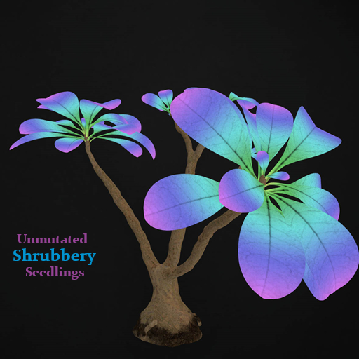 Random Papillon Shrubbery Seedling Non-Mutated