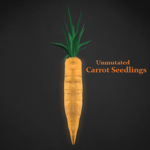 Random Papillon Carrot Seedlings Non-Mutated